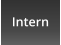 Intern