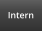 Intern