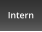 Intern